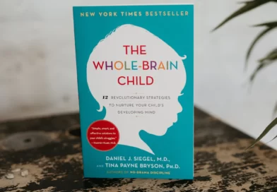 The Whole Brain Child Book Summary Detailed